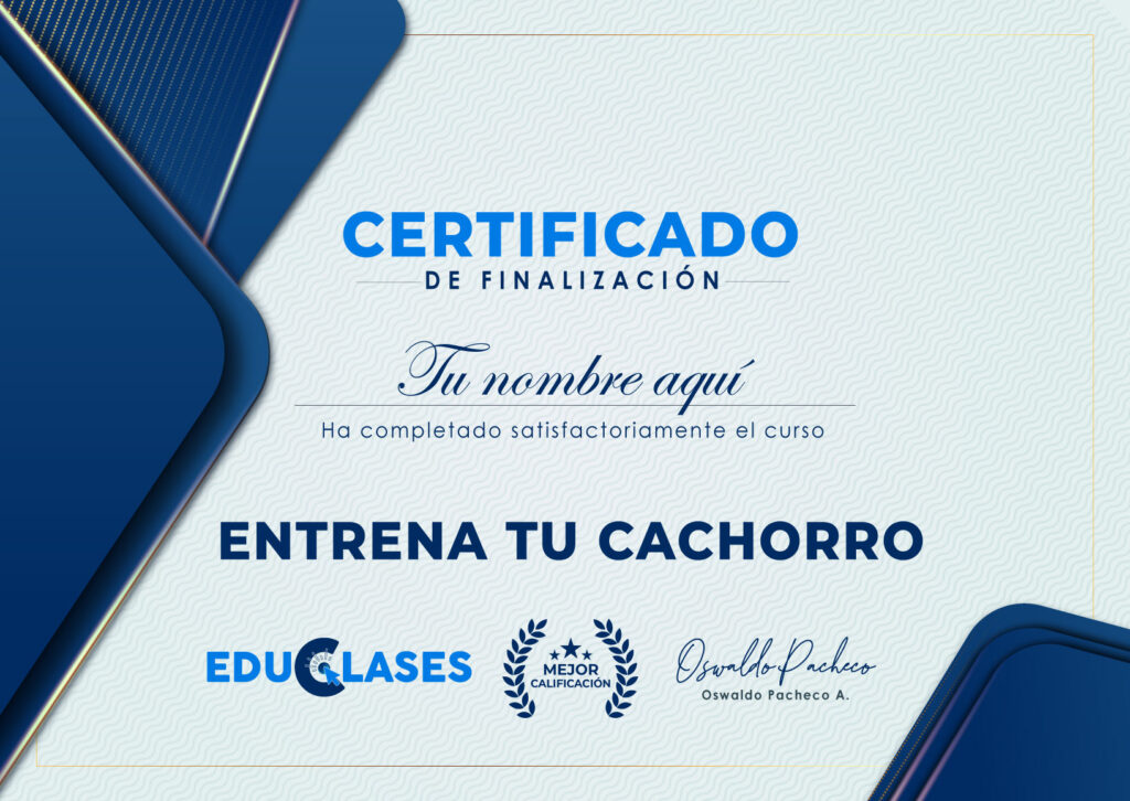 CERTIFICADO CON NOMBRE 7 1024x726 1 - Curso de adiestramiento online para cachorros