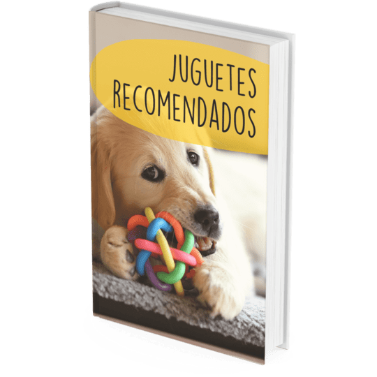1 1 - Curso de adiestramiento online para cachorros