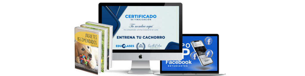 2 1 1024x256 - Curso de adiestramiento online para cachorros