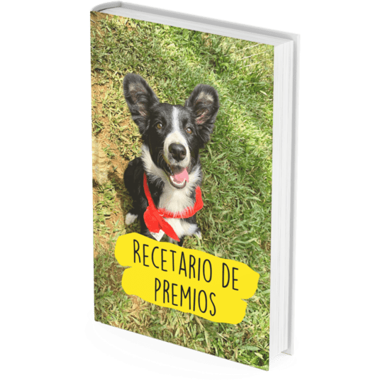 3 - Curso de adiestramiento online para cachorros